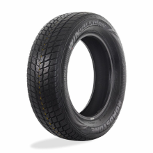 ROADSTONE WINGUARD SUV 225/65 R17 102H
